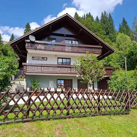 Apartma Cvrsta Trojka Jesenice Εξωτερικό φωτογραφία