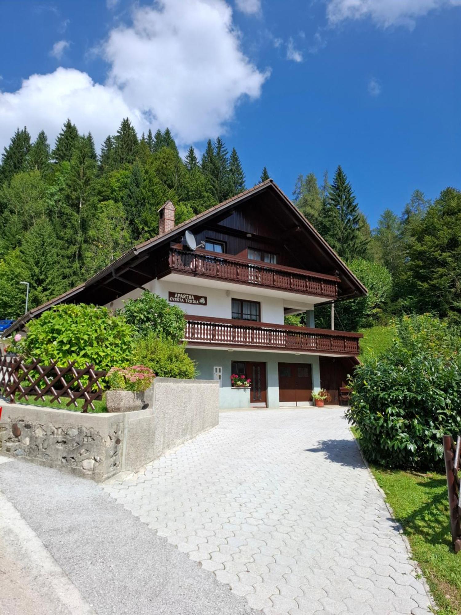 Apartma Cvrsta Trojka Jesenice Εξωτερικό φωτογραφία
