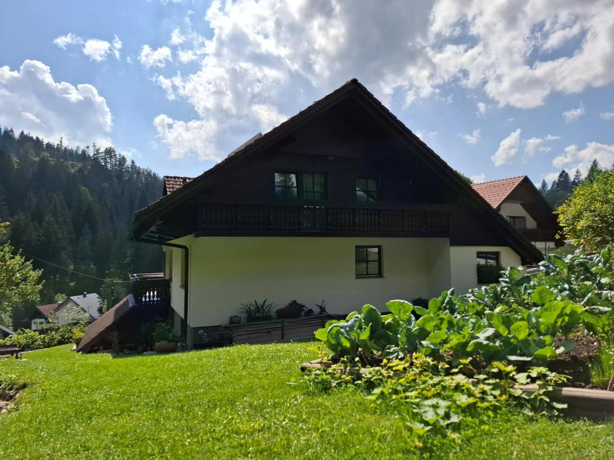 Apartma Cvrsta Trojka Jesenice Εξωτερικό φωτογραφία